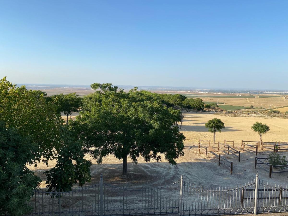 Sevilla Saltera Casa Rural Cerca Centro De Sevilla Familiar - Trabajo - Wifi Salteras Ngoại thất bức ảnh