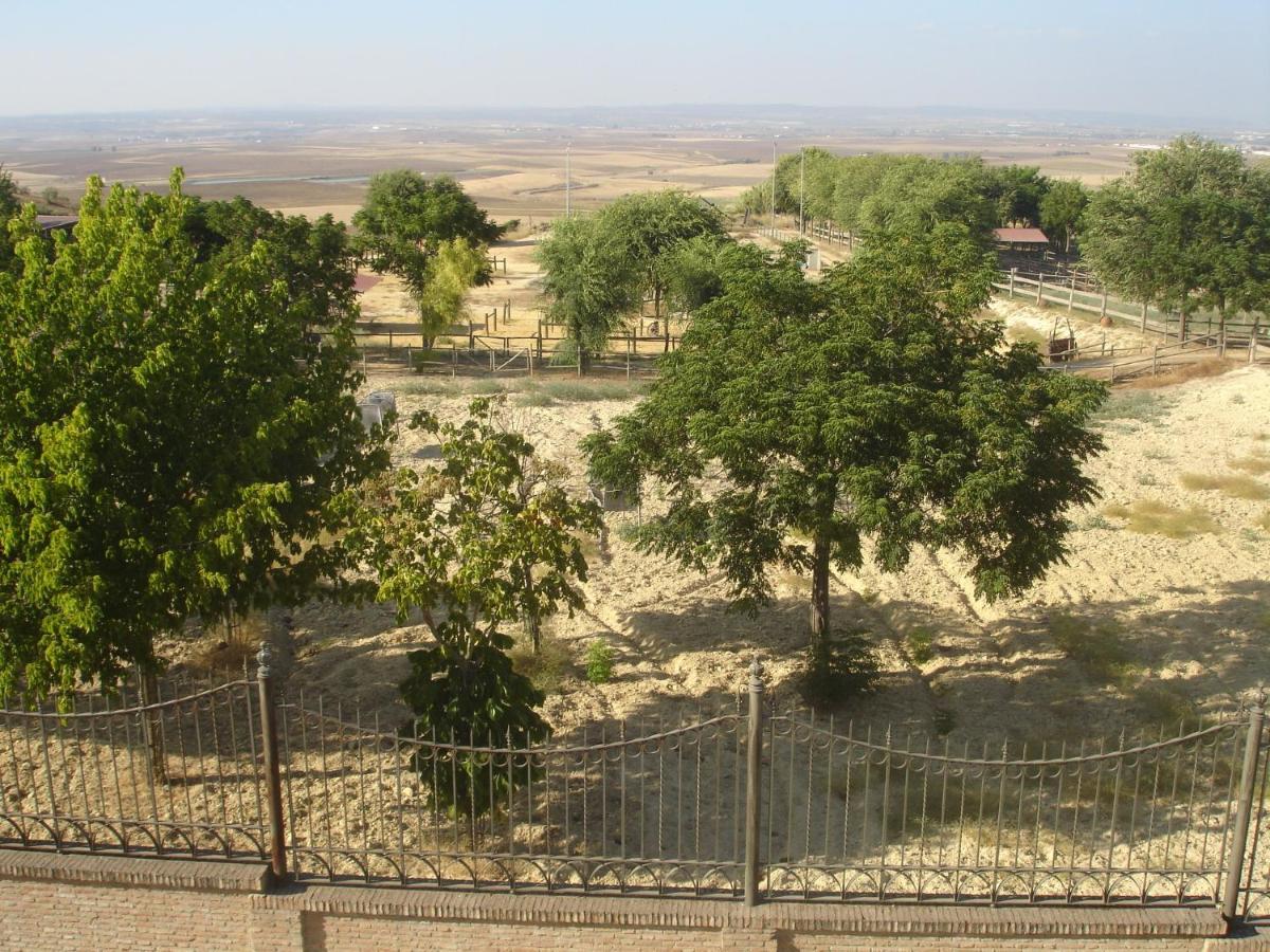 Sevilla Saltera Casa Rural Cerca Centro De Sevilla Familiar - Trabajo - Wifi Salteras Ngoại thất bức ảnh